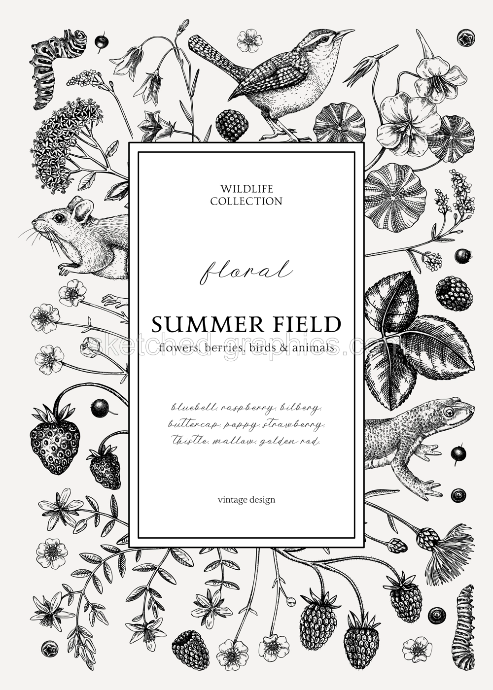 Retro style floral wreath design. Vintage summer background. Wildlife sketches. Wildflowers botanical illustration. Hand-drawn field flowers, birds, and animals for wedding invitation, decoration Illustration